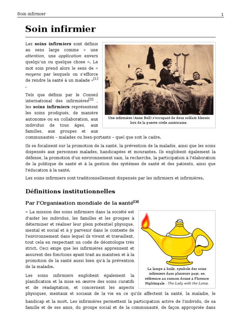 Dictionnaire Des Concepts En Soins Infirmiers Pdf Gratuit Soins Infirmiers | PDF | Allaitement | Soins de santé