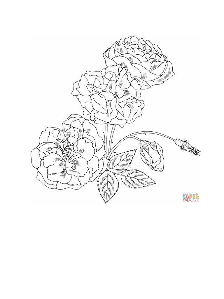 Coloring Pages | PDF