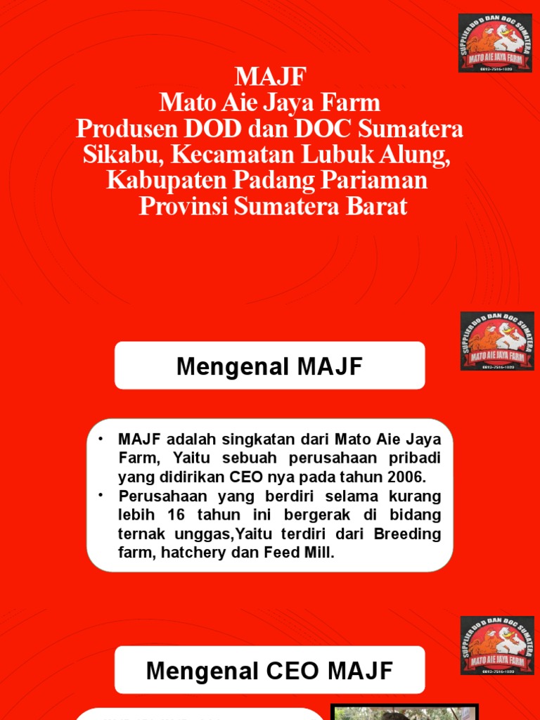 Produksi dan Manajemen Itik Ratu MAJF | PDF | Memasak, Makanan, & Anggur