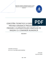 Chifan Florin Rezumat Teza de Doctorat