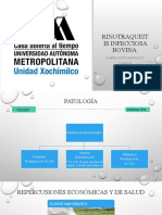 Presentacion Rinotraqueitis