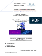 Polycopié de Travaux Pratiques Biologie Moléculaire: Universite Mohammed V - Agdal Faculte Des Sciences - Rabat