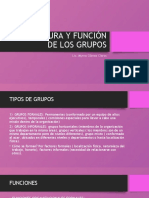 Estructura y Función de Los Grupos