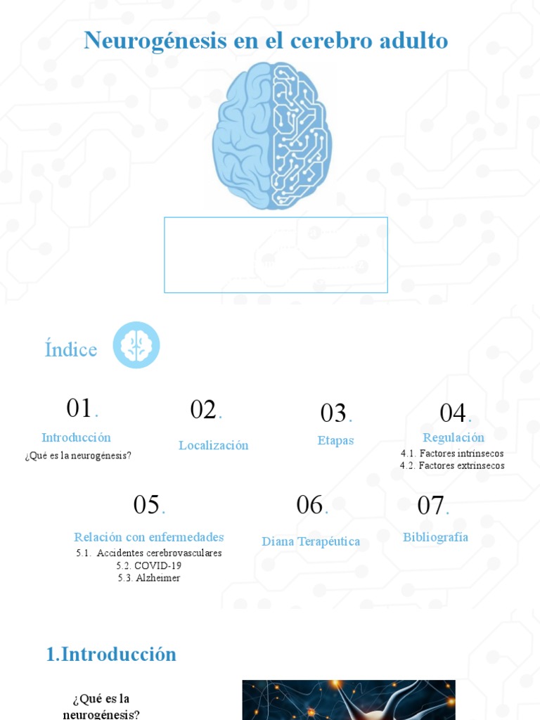 Neurogénesis | PDF | Neurociencia | Biología Celular