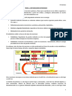 Tema 1. Metabolismo Integrado