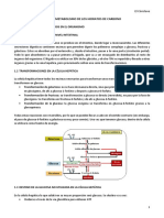 Metabolismo de Los Hidratos de Carbono