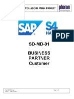 SD-MD-01 - Business Partner_Customer