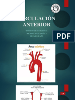 Circulación CEREBRAL Anterior