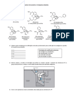 Atividade Substitutiva