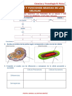 Anexo 2. Estructuras Celulares