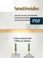 T4 Paratiroides
