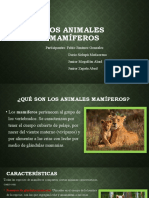 Los Animales Mamíferos