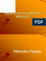 Musculos Da Cabeça E Pescoço