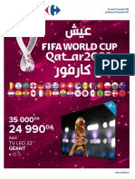 Cata World Cup 22 Web