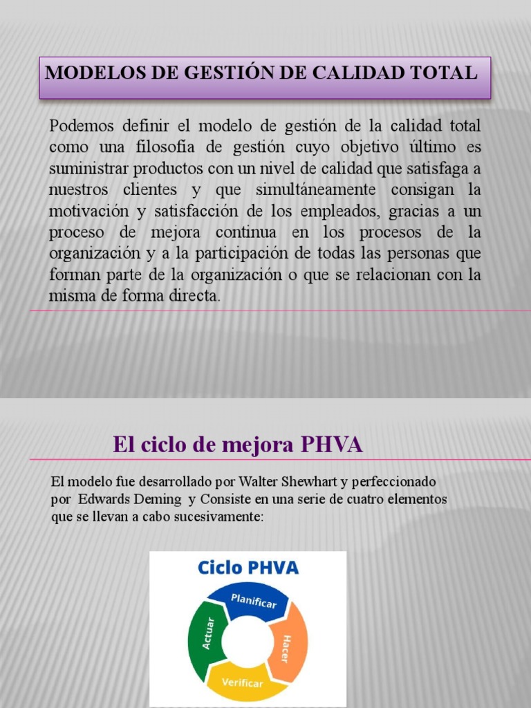 El Modelo de La Gestión de La Calidad Total | Descargar gratis PDF ...