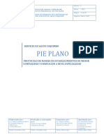 PIE PLANO