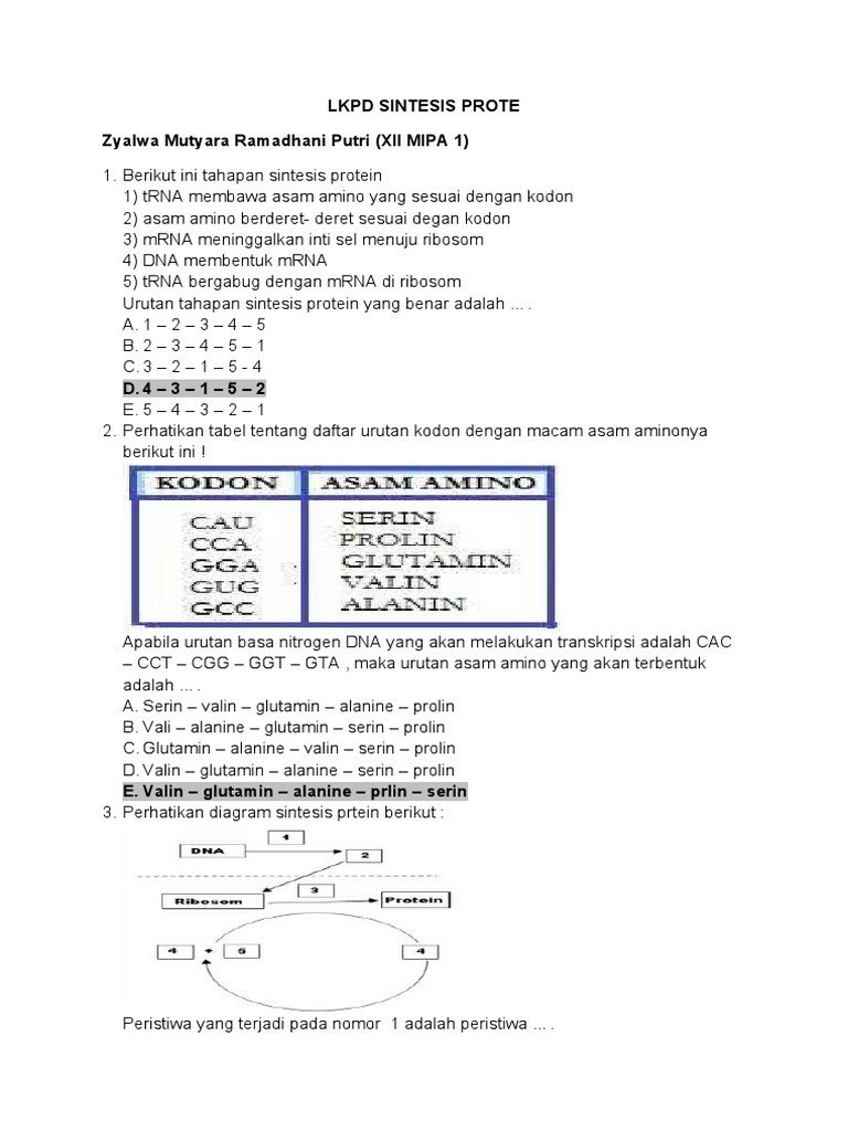 Tahapan Sintesis Protein Kelas 12 | PDF | Sains & Matematika