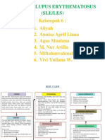 Sle-Kelompok 6