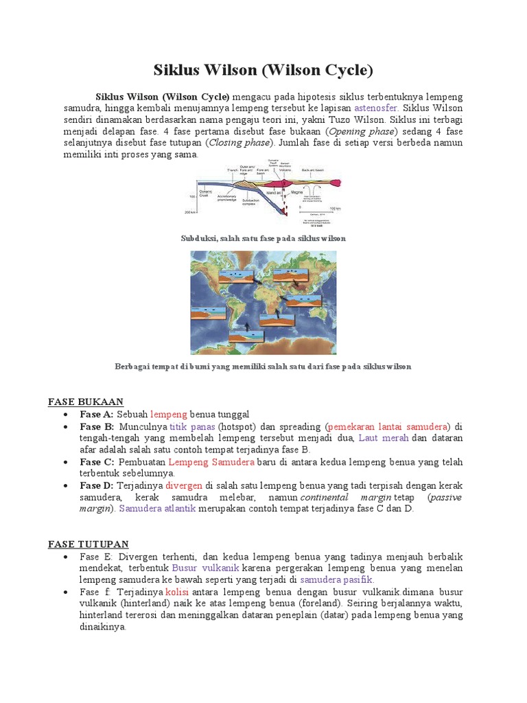 Siklus Wilson Pdf
