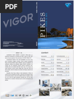 2 Vigor 2022catalogue