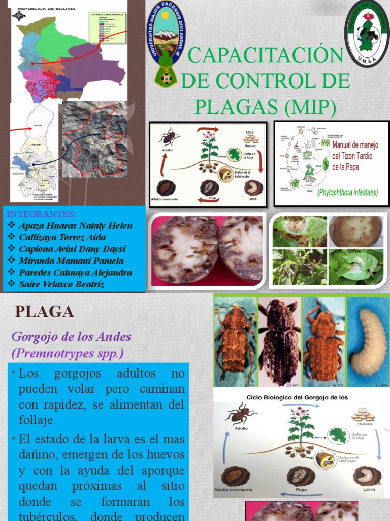 Capacitación de Control de Plagas (Mip) | PDF | Patata | Organismos