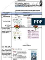 Planificación de Nivelación 3