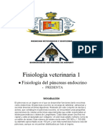 Fisiologia de Pancreas Endroquino Raip