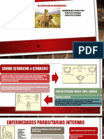 Clasificacion de Enfermedades de Alpacas - PPTX (Autoguardado)