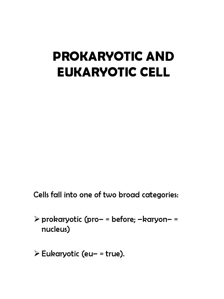 Is It Prokaryotic Or Eukaryotic The Definitive Guide To Vacuoles - hwo7iwh