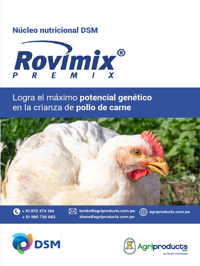 Brochure Núcleos DSM | PDF | Alimentos | Nutrición