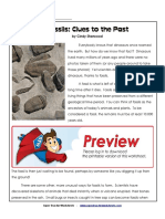 [Reading] Fossils Worksheet