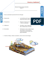 Examen Sistema Oseo Tercero