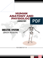 Anaphy Skeletalsystem Backregion (Reviewer)