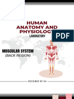 Anaphy Muscularsystem Backregion (Reviewer)