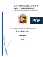 Proyectos Inversion Agroindustrias