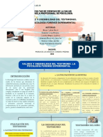 Validez y Credibilidad Del Testimonio. La Psicología Forense Experimental