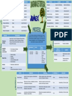 Diagrama de Tortuga