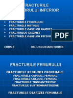 CURS 6 FRACTURILE Membru Inf.