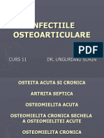 Curs 10 Infectiile Osteoarticular0