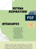 Sistema Respiratorio