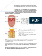 MENGENAL PENTINGNYA KESEHATAN GIGI DAN MULUT