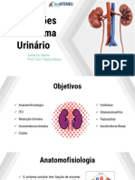 Disfunções do Sistema Urinário