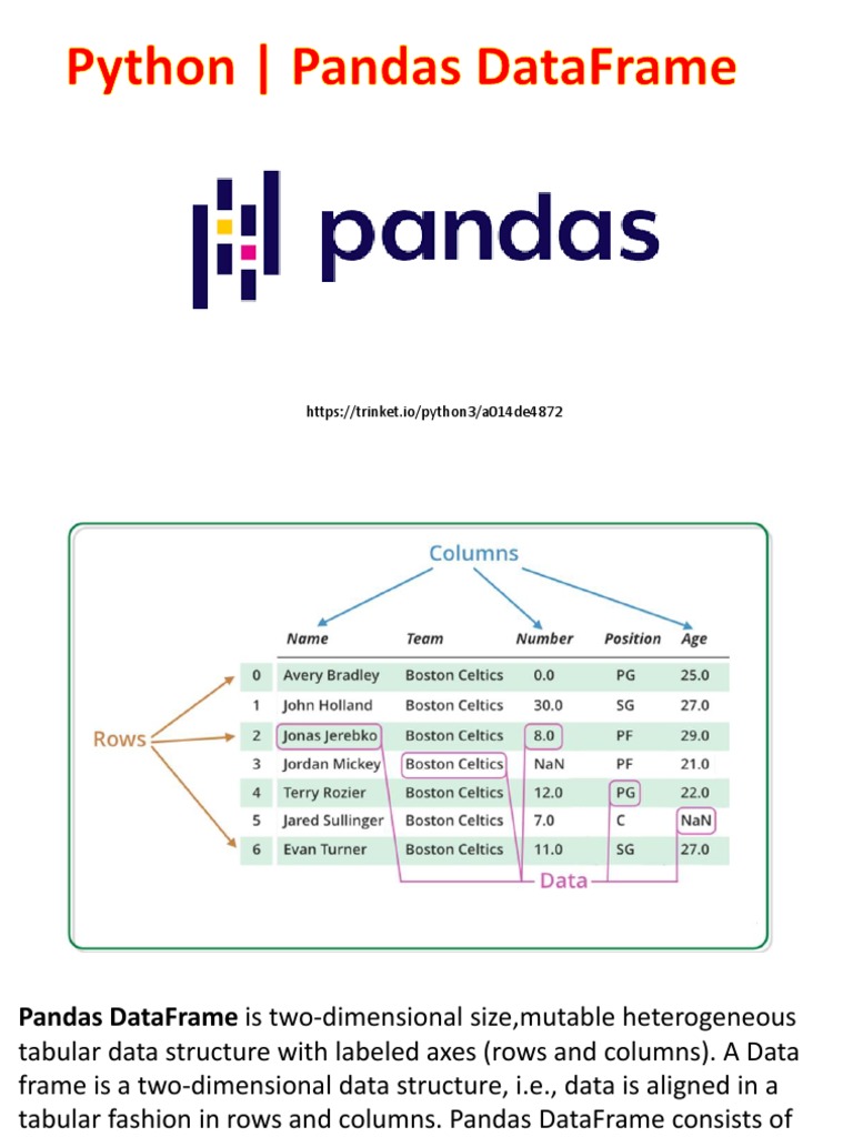 Python DataFrame 1 | PDF