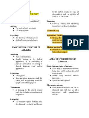 Pdfcoffee - mkkkskskss - Anatomy and Physiology - Studocu