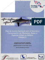 2004 Conapesca INP Plan de Accion Tiburones