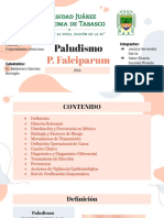 Paludismo P. Falciparum