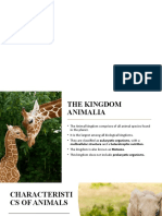 Animal Kingdom: Classification and Characteristics of Invertebrates