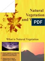 Natural Vegetation and Wild Life