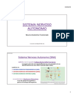 1 Sna Neuroanatomia