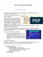 Seminario 3. Hipoglucemia. Insulinoma